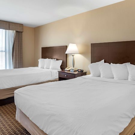 Best Western Plus Philadelphia Airport South - At Widener University Chester Exterior foto