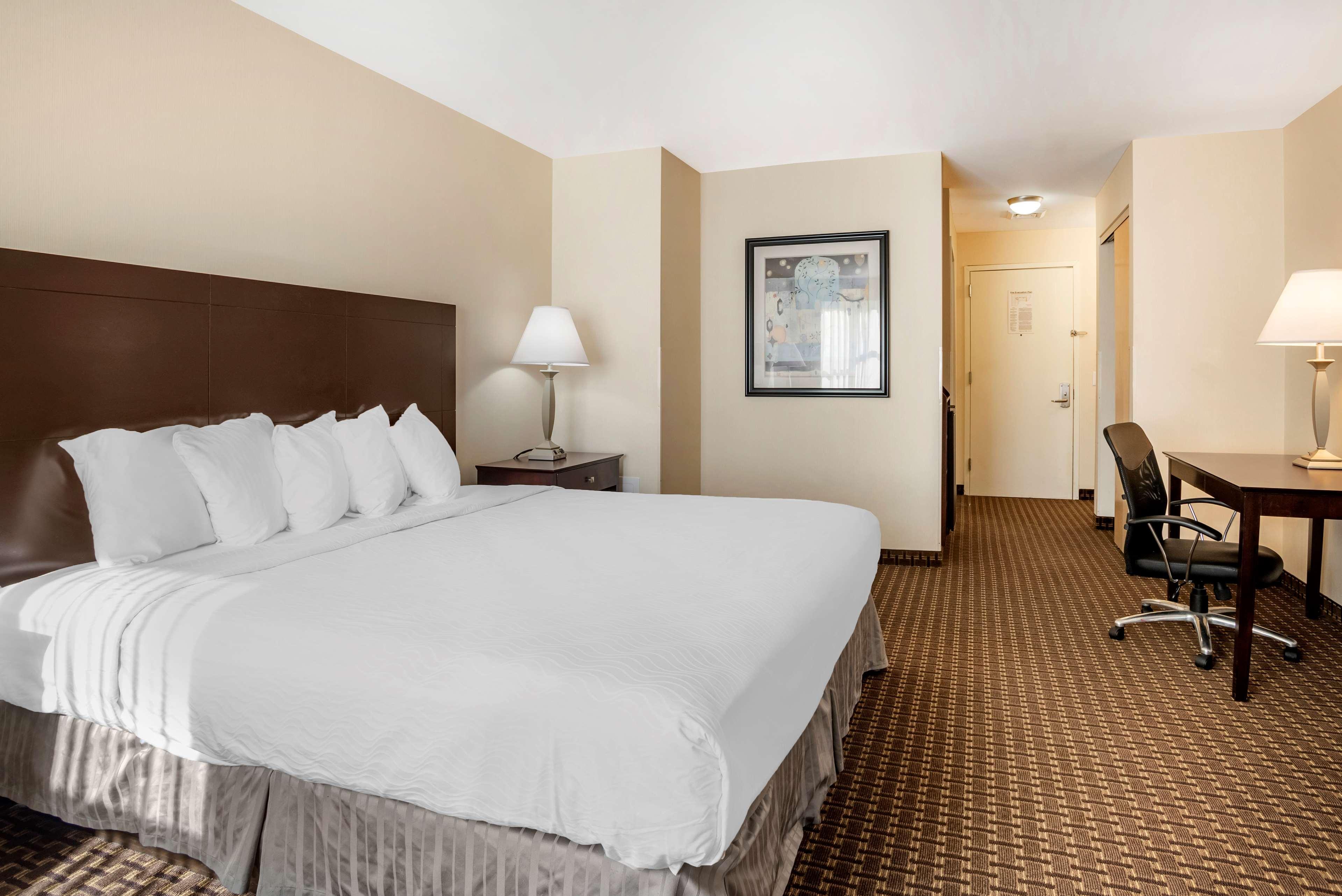 Best Western Plus Philadelphia Airport South - At Widener University Chester Exterior foto